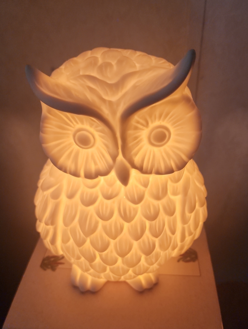 Porcelain Owl Accent Light - Matte White - Picture 2 of 3